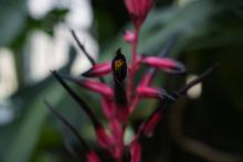 Berlin: Botanischer Garten